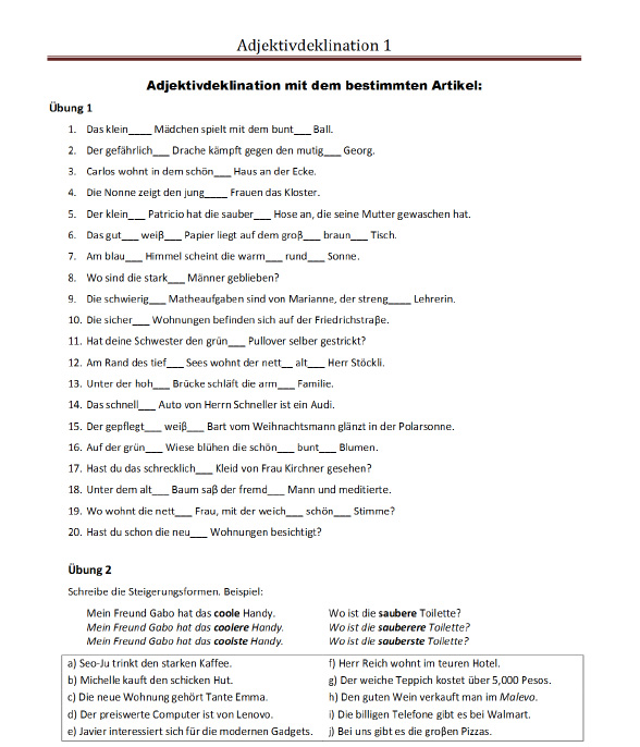 Adjektivdeklination Mit Bestimmten Artikel Ubungen