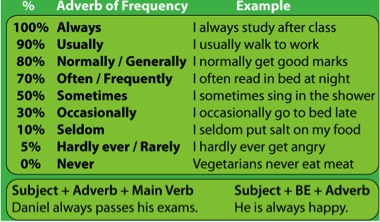 Adverbs Of Frequency Chart
